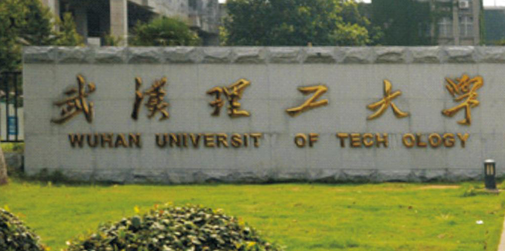 武汉大学